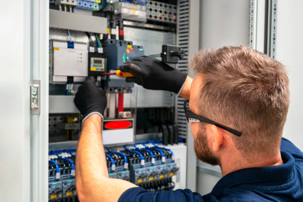 Best Affordable Electrician  in Hillsdale, MI