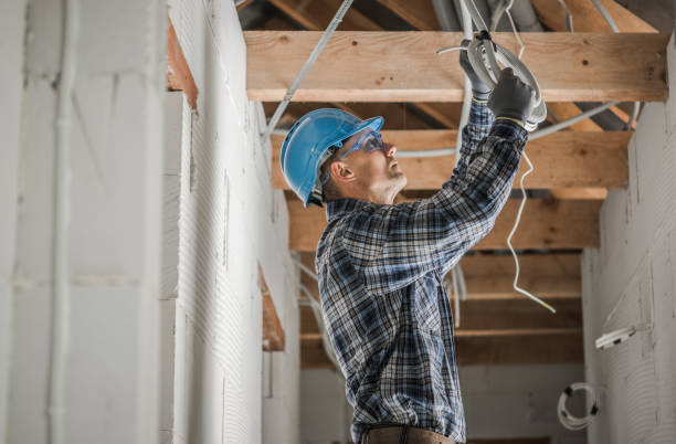 Best Generator Installation Services  in Hillsdale, MI