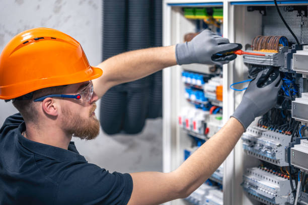 Best Electrician for Home Renovation  in Hillsdale, MI